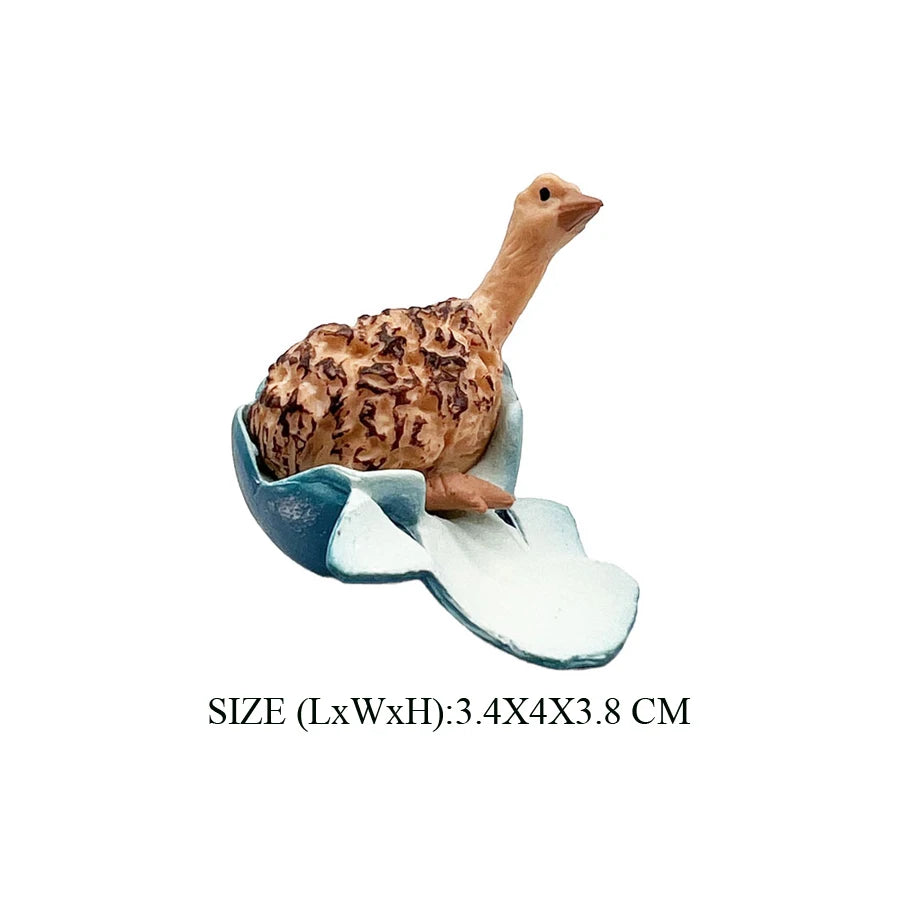 Realistic Emu Ostrich Growth Cycle Action Figure Toys Bird Figurines Animal Playset Educational Model Toys Collection Home Decor