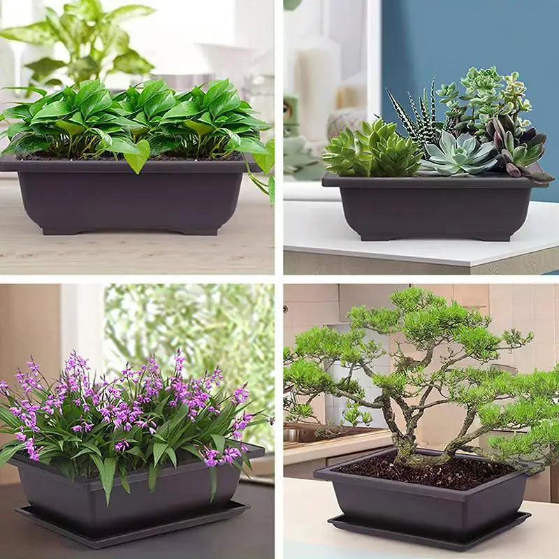 Rectangular Square Flowerpots Imitation Purple Clay Succulent Plants Pots Oval Pots Outdoor Garden Landscape Bonsai Pot Trays