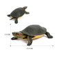 Simulation Chinese Softshell Leatherback Sea Turtle Snapping Turtles Tortoise Ocean Animal Model Education Toy Figures For Kids