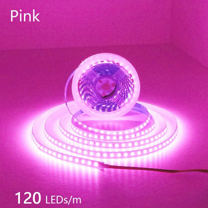 12V 24V LED Strip 2835 120LEDs/m Home Lamp Strip Pink Red Ice Blue Green Golden Yellow Orange Flexible Waterproof Soft Lamp Bar