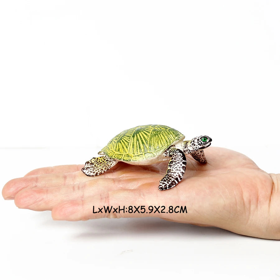 Simulation Chinese Softshell Leatherback Sea Turtle Snapping Turtles Tortoise Ocean Animal Model Education Toy Figures For Kids