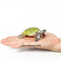 Simulation Chinese Softshell Leatherback Sea Turtle Snapping Turtles Tortoise Ocean Animal Model Education Toy Figures For Kids