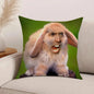 Actor New Pop N-Nicolas C-Cage Funny Pillow Case Office Cushions Suitable For Sofa Car Bedroom Decorative Cushion Cover
