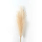 90/120cm Artificial Pampas Decoration Flowers Home Party Table Flower Arrangement Decor Wedding Decor DIY Fluffy Reed Grass