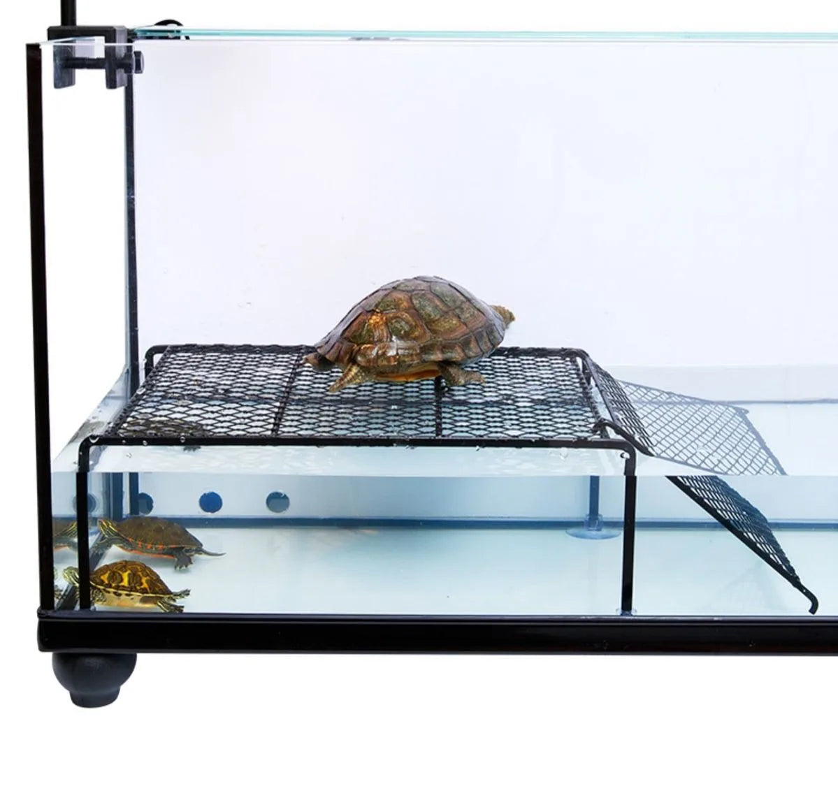 Drying Platform Turtle Tank Decoration Sun Platform Climbing Platform Resting Platform Water Turtle Floating Island