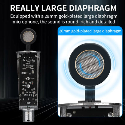 LEUS U87 AI XLR Condenser Microphone Professional Cardioid Studio Mic for Recording Podcasting Voice Over Streaming Home Studio