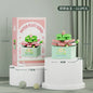 Bouquet Flower Mini Diy Building Block Toys for Children Bricks Blocks for Adults Constructor Micro Bricks Construction Set Gift