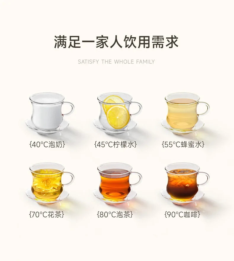 Instant Hot Water Dispenser with 12 Temperature Settings Touch Control Borosilicate Glass Tank Child Lock for Tea Coffee Use