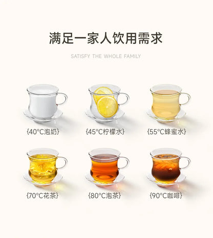 Instant Hot Water Dispenser with 12 Temperature Settings Touch Control Borosilicate Glass Tank Child Lock for Tea Coffee Use