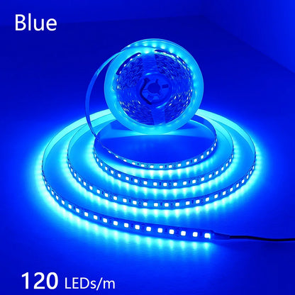 12V 24V LED Strip 2835 120LEDs/m Home Lamp Strip Pink Red Ice Blue Green Golden Yellow Orange Flexible Waterproof Soft Lamp Bar