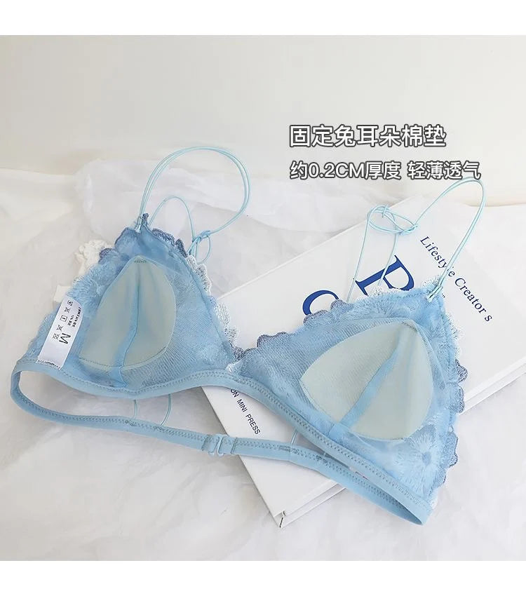 French Lace Bralette Small Bust Women Wireless Ultra Thin Sexy Embroidery Mesh No Underwire Push Up Comfort Bra Set BANERDANNI