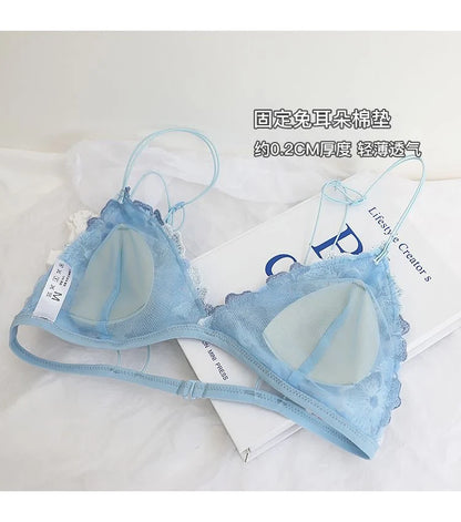 French Lace Bralette Small Bust Women Wireless Ultra Thin Sexy Embroidery Mesh No Underwire Push Up Comfort Bra Set BANERDANNI