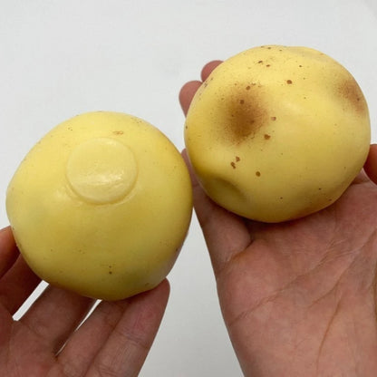 2026 Hot Crunchy Potato Squishy Stress Ball ASMR Squeeze Fidget Toy Decompression Sensory Toy For Adults Gift for Adult