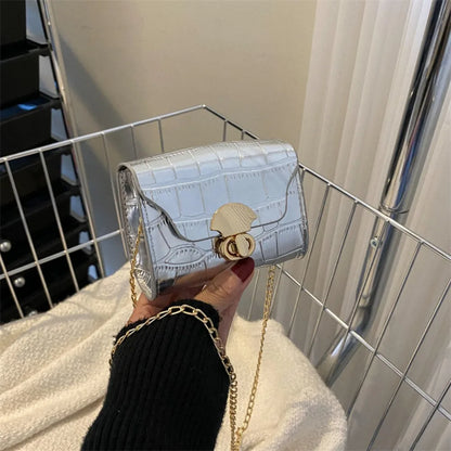 Trendy Mini Shoulder Bag Casual Chain Messenger Bag Daily Commuting Bag Lipstick Coin Purse