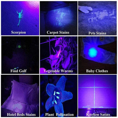 1/2PCS USB Charging Ultraviolet Flashlights UV Flashlight Blacklight Zoomable Torch Lamps Pet Urine Detector Hunting UV Light
