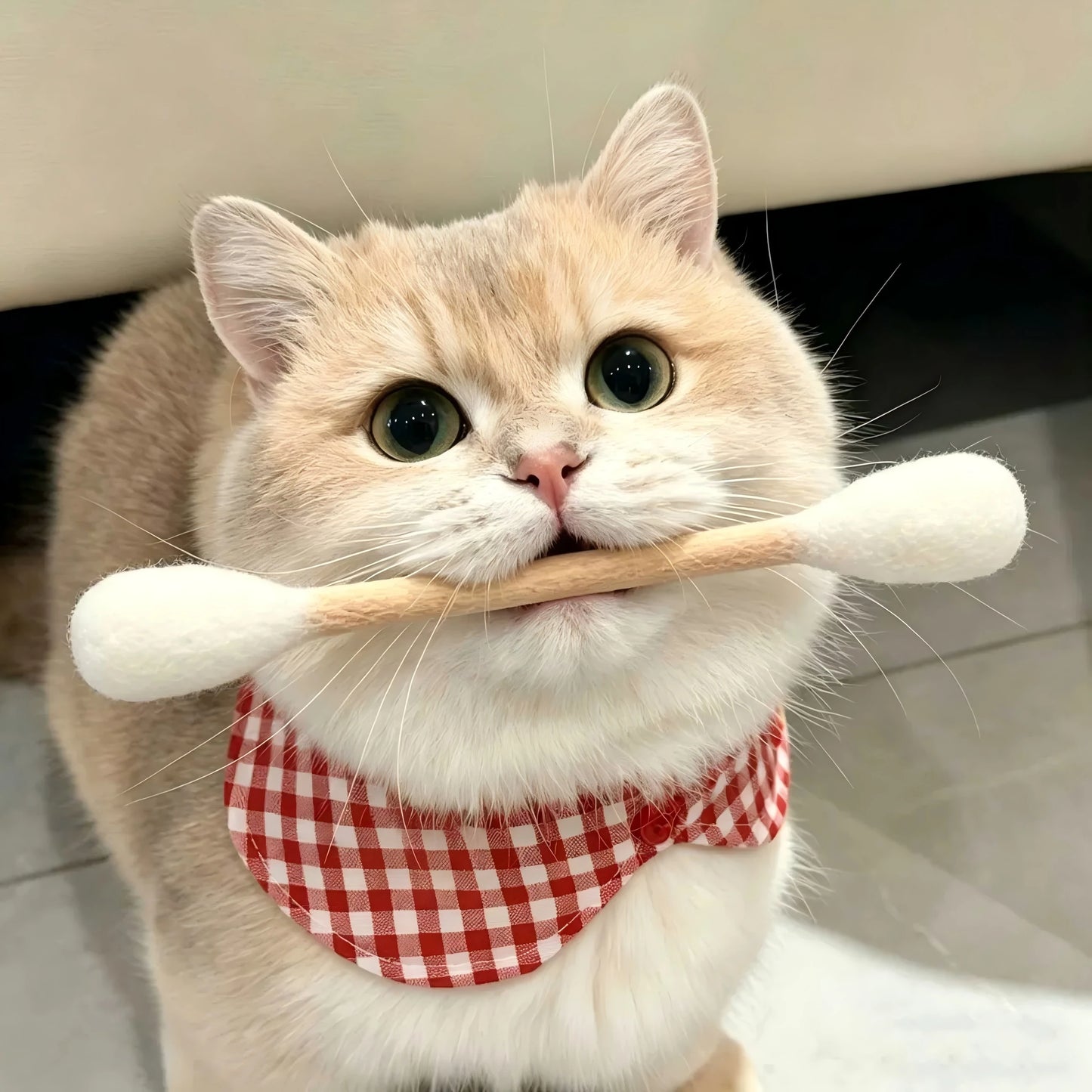6Pcs Creative Cat Toys Cotton Swab Shaped Catnip Toy Giant Kitten Grinding Biting Stick Teething Cleaning Chew Toys Pet Supplies
