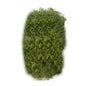 Sand Table Vegetation Long Leaf Grass Cluster Miniature Reed Scene Model Railway Scenery Micro Landscape DIY Accessories