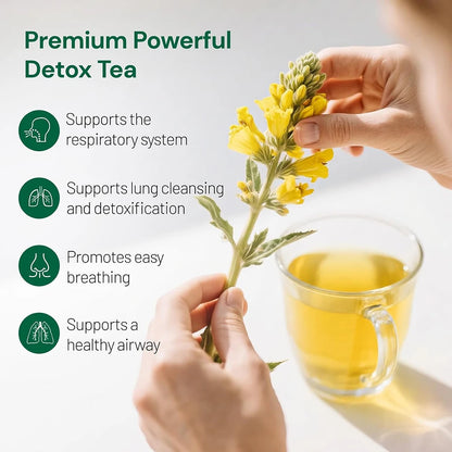 Mullein Leaf Herbal Tea - Supports lung and respiratory health - Supports daily wellness - Caffeine-free, sugar-free, vegan