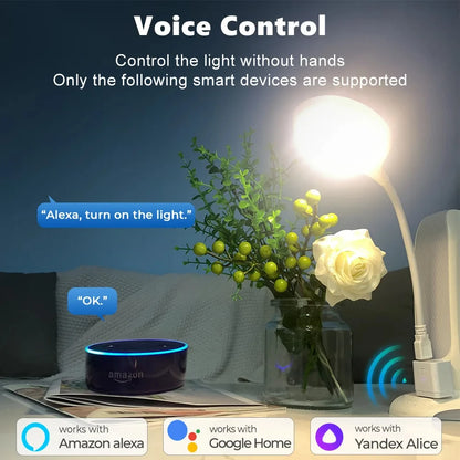 Tuya Smart WiFi/Zigbee Micro 1 2 3 USB Adaptor Switch 5V Mini USB Power Adaptor Smart Life Control Via Alexa Google Yandex alice