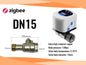 eWelink Zigbee Intelligent Valve DN15/DN20/DN25 App Rmote Control Works With Salutel/Alexa/Alice/Google Assistant/Smart Things
