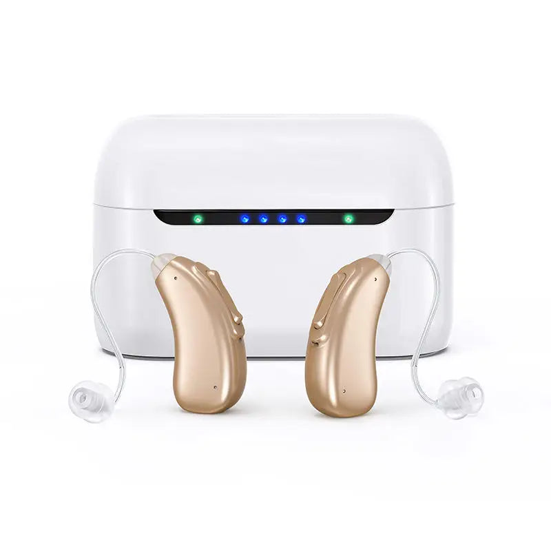 30 channel program Digital Hearing Aid Rechargeable Noise Reduction Sound Amplifier Deafness Adjustable Portable Hearing Aids
