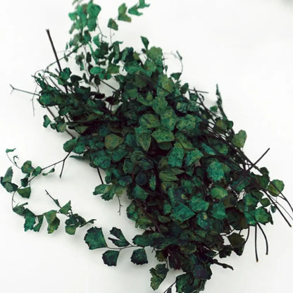 1 Box Miniature Plant Creepers Simulation Rattan Leaves Sand Table Vegetation Garden Scene Micro Landscape DIY Accessories