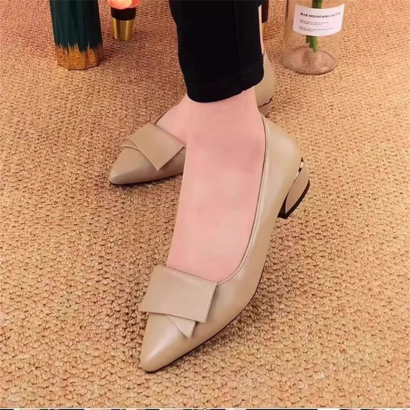 2026 Spring New Women's Pumps, Versatile Low Heel, Pointed Toe, Soft Leather, Casual Dress Shoes