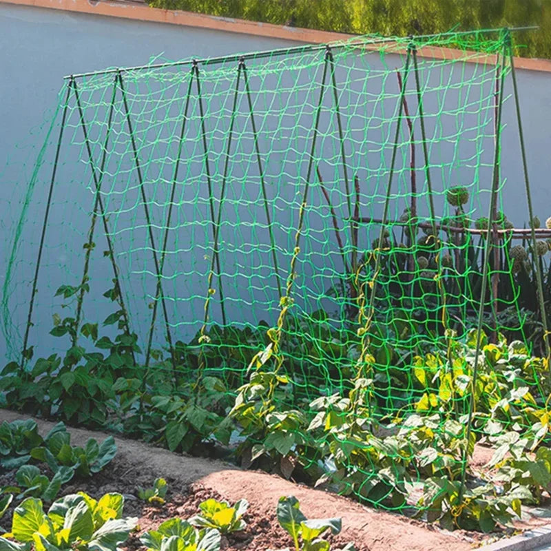 Heavy-Duty Garden Climbing Net – UV-Resistant Nylon Trellis for Cucumber, Loofah & Flowers