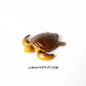 Simulation Chinese Softshell Leatherback Sea Turtle Snapping Turtles Tortoise Ocean Animal Model Education Toy Figures For Kids