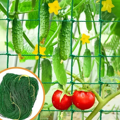 Heavy-Duty Garden Climbing Net – UV-Resistant Nylon Trellis for Cucumber, Loofah & Flowers