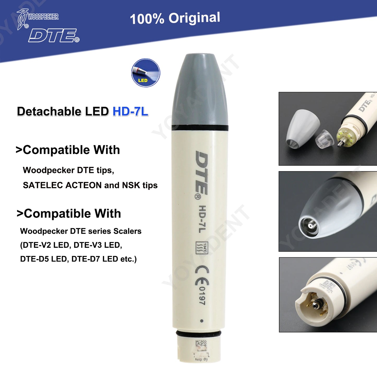 Woodpecker DTE Dental Endo Tips Ultrasonic Scaler Tips Scaling Tips ED-Series Fit NSK SATELEC Scaler Handpiece Dentistry Product