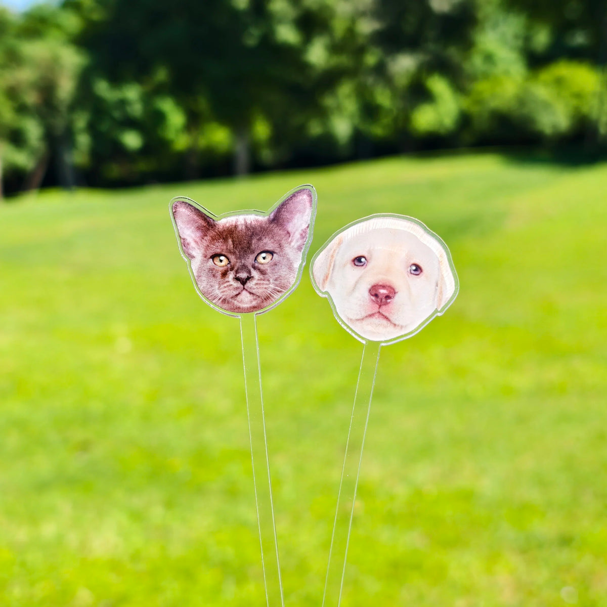 Personalized Cocktail Stirrers Custom Pet Face Drink Stir Wedding Gift Table Decoration Acrylic Party Drink Stirs Party souvenir