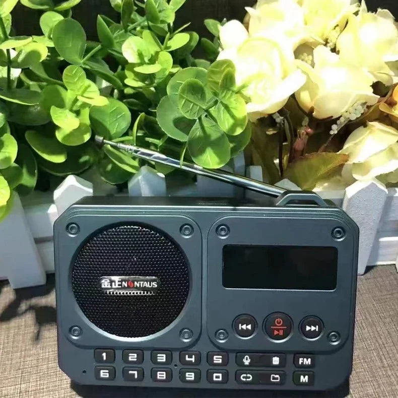 Mini Portable FM Radio Multifunctional Radios Bluetooth Speaker Recorder with LED Display Folder Switching TF Card U Disk Play
