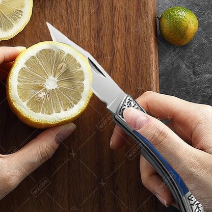 Stainless Steel Mini Pocket Knife Fruit Paring Knife with Non-slip Handle Multifunctional Folding Knife for Household Cooking