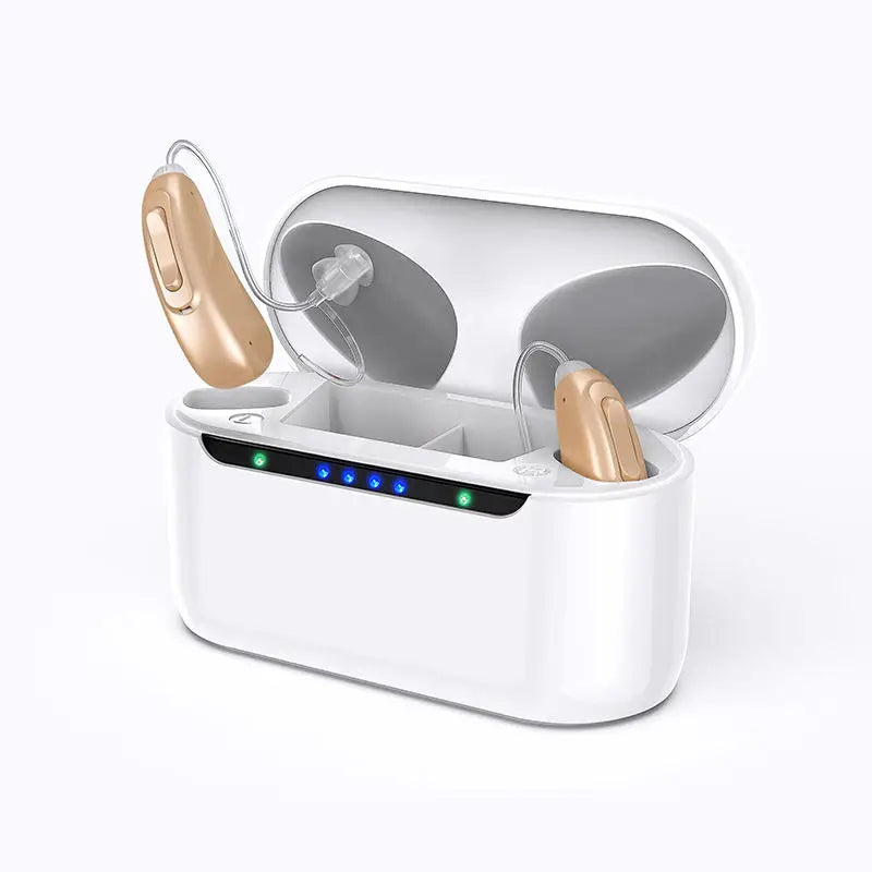 30 channel program Digital Hearing Aid Rechargeable Noise Reduction Sound Amplifier Deafness Adjustable Portable Hearing Aids