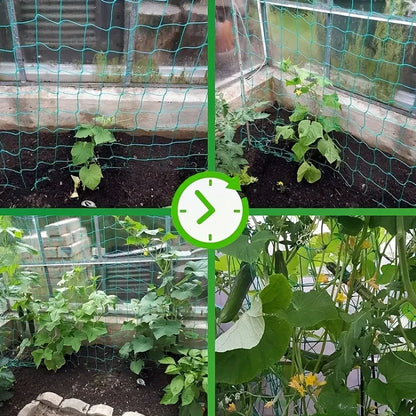 Heavy-Duty Garden Climbing Net – UV-Resistant Nylon Trellis for Cucumber, Loofah & Flowers