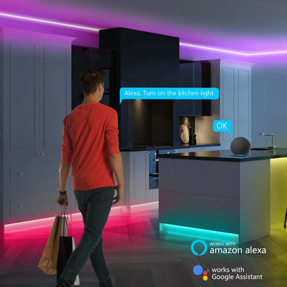 USB RGB Neon LED Strip 1M 2M 3M 5M WiFi 5V RGB Strip Work With Tuya App/Smart Life/Alexa for Game Home Neon Decor Lighting