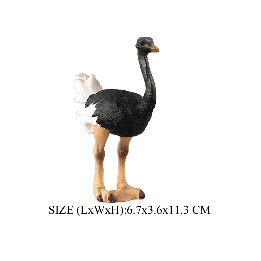 Realistic Emu Ostrich Growth Cycle Action Figure Toys Bird Figurines Animal Playset Educational Model Toys Collection Home Decor