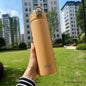 TYESO 600/750ML Stainless Steel Thermo Bottle Car Thermal Cup Sports Water Bottles Keep Cold and Hot Vacuum Flasks Insulated Cup