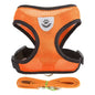 Adjustable Mesh Pet Harness with Leash, Polyester Vest Type Walking Strap for Small Medium Cats Dogs