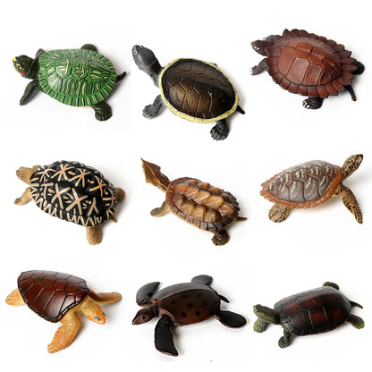 Simulation Chinese Softshell Leatherback Sea Turtle Snapping Turtles Tortoise Ocean Animal Model Education Toy Figures For Kids