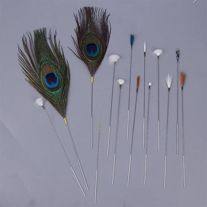 1/5Pcs Goose Feather Stick Ear Picking Elastic Earwax Cleaner Stick Massage Chicken Peacock Feather Silver Needle Ear Dig Tool