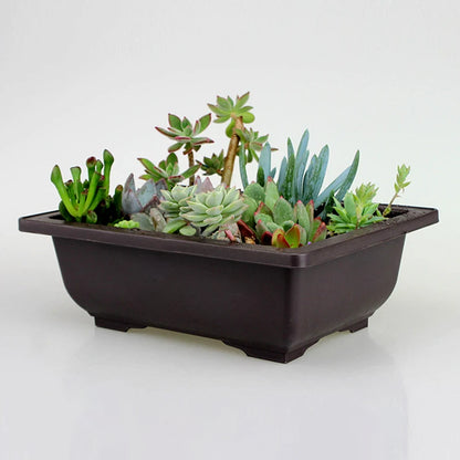 Rectangular Square Flowerpots Imitation Purple Clay Succulent Plants Pots Oval Pots Outdoor Garden Landscape Bonsai Pot Trays