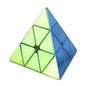 Shengshou Plating 3x3x3 Magnetic Magic Cube Professional Speed Puzzle Cubo Magico Educational Toy Games Birthday Christmas Gifts