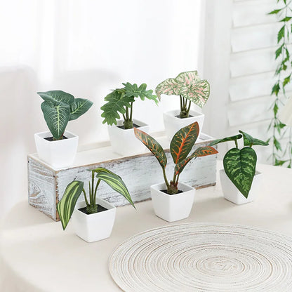 1SET Simulation Plant Potted Plant, Suitable For Commercial Office Counter, Living Room, Study, Courtyard, Home Decoration