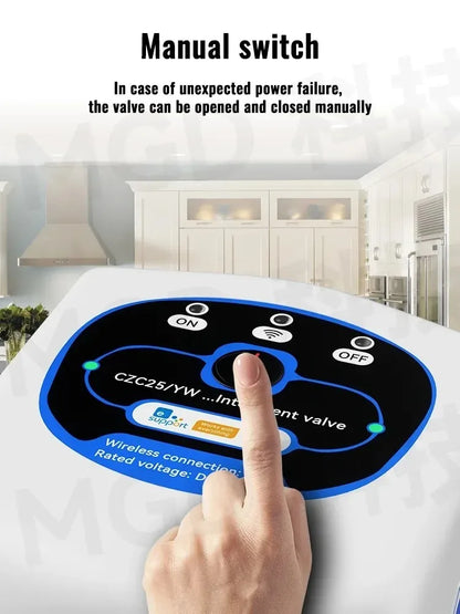 eWelink Zigbee Intelligent Valve DN15/DN20/DN25 App Rmote Control Works With Salutel/Alexa/Alice/Google Assistant/Smart Things