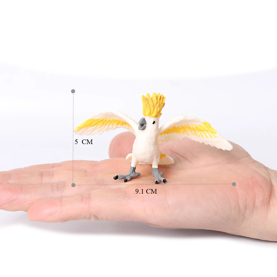 Hand Painted Simulation Bird Model Figures Toucan Peacock Owl Flamingo, Early Cognition Toy Cake Decoration For Children