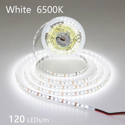 12V 24V LED Strip 2835 120LEDs/m Home Lamp Strip Pink Red Ice Blue Green Golden Yellow Orange Flexible Waterproof Soft Lamp Bar