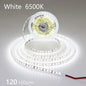 12V 24V LED Strip 2835 120LEDs/m Home Lamp Strip Pink Red Ice Blue Green Golden Yellow Orange Flexible Waterproof Soft Lamp Bar