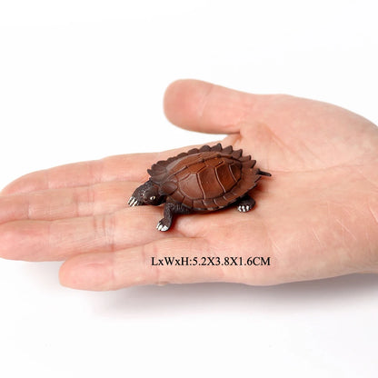 Simulation Chinese Softshell Leatherback Sea Turtle Snapping Turtles Tortoise Ocean Animal Model Education Toy Figures For Kids